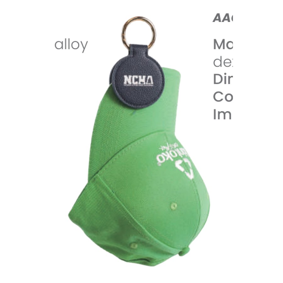 Article AAC0002